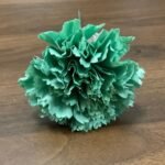 Flor de flamenca verde agua